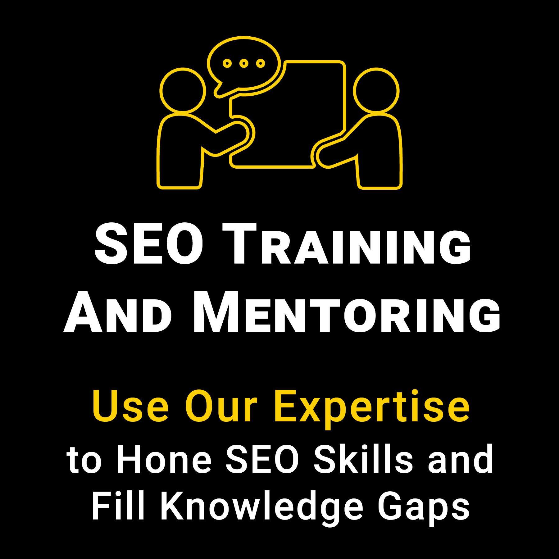 SEO Training and Mentoring - "Use our expertise to hone SEO skills and fill knowledge gaps."