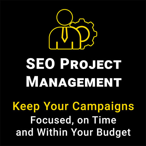 SEO Project Management - "Keep your campaigns focused, on time, and within your budget."