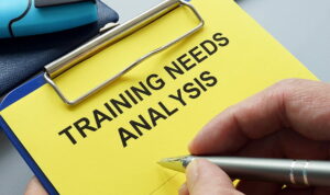 SEO Training needs Analysis